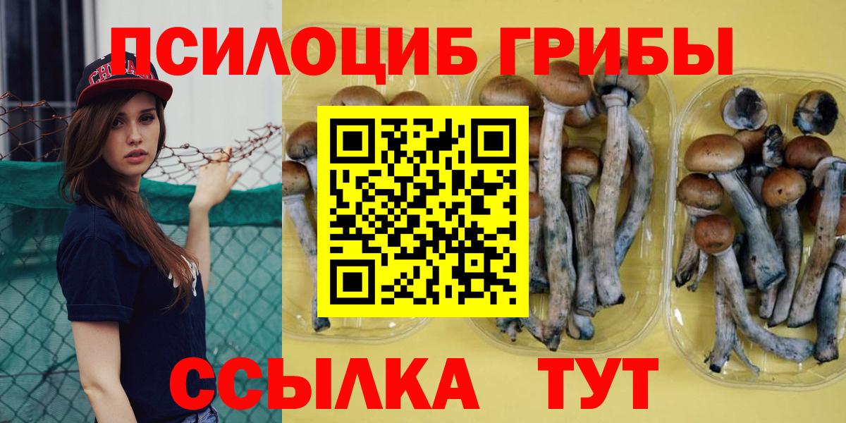 Псилоцибиновые грибы Psilocybe  Вход с VPN  Туапсе  Галлюциногенные грибы MAGIC MUSHROOMS 